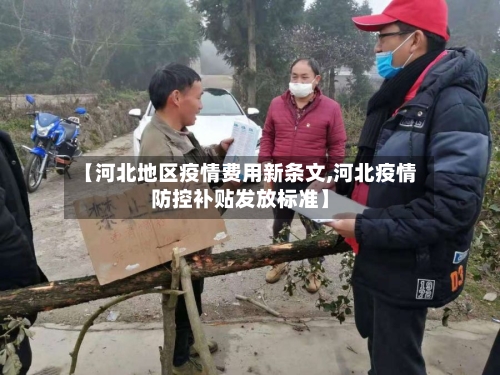 【河北地区疫情费用新条文,河北疫情防控补贴发放标准】-第3张图片