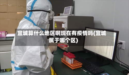 宜城算什么地区啊现在有疫情吗(宜城属于哪个区)-第2张图片