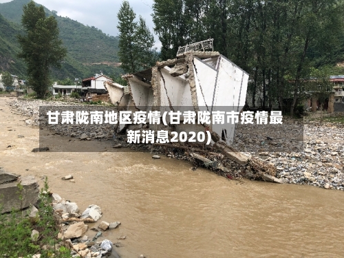 甘肃陇南地区疫情(甘肃陇南市疫情最新消息2020)-第2张图片