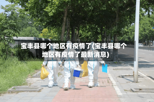 宝丰县哪个地区有疫情了(宝丰县哪个地区有疫情了最新消息)-第2张图片