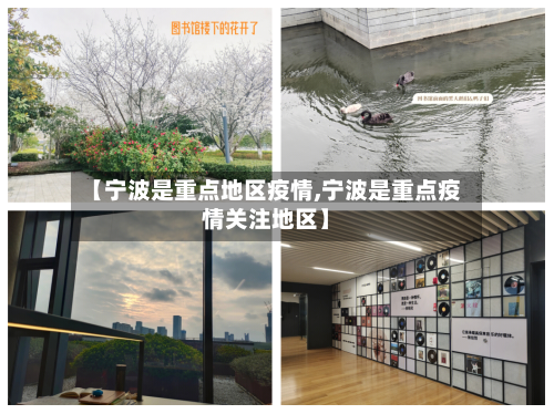 【宁波是重点地区疫情,宁波是重点疫情关注地区】-第3张图片