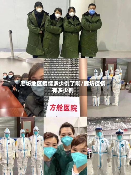 廊坊地区疫情多少例了啊/廊坊疫情有多少例-第2张图片