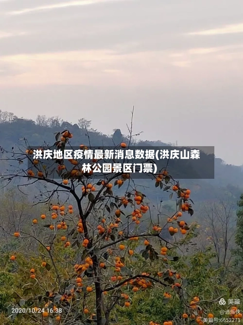 洪庆地区疫情最新消息数据(洪庆山森林公园景区门票)