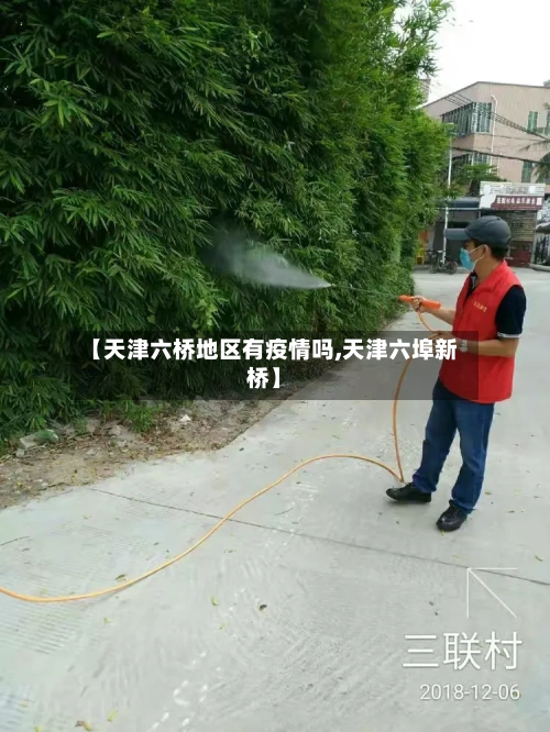 【天津六桥地区有疫情吗,天津六埠新桥】
