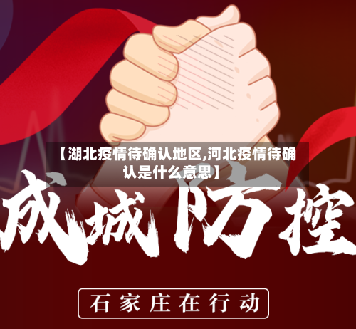 【湖北疫情待确认地区,河北疫情待确认是什么意思】