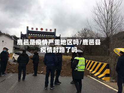 鹿邑是疫情严重地区吗/鹿邑县疫情封路了吗-第2张图片