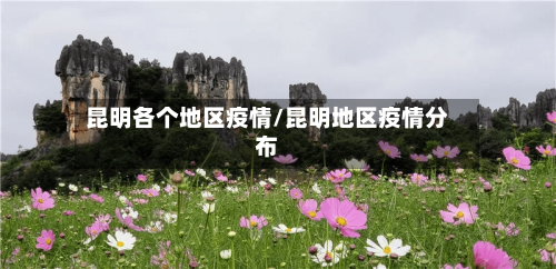 昆明各个地区疫情/昆明地区疫情分布-第2张图片