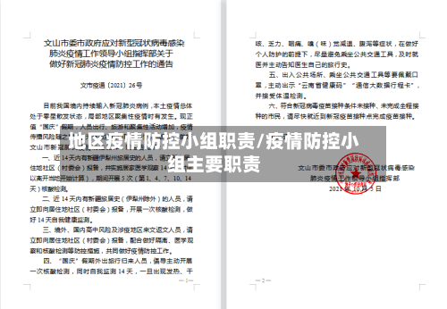 地区疫情防控小组职责/疫情防控小组主要职责-第3张图片