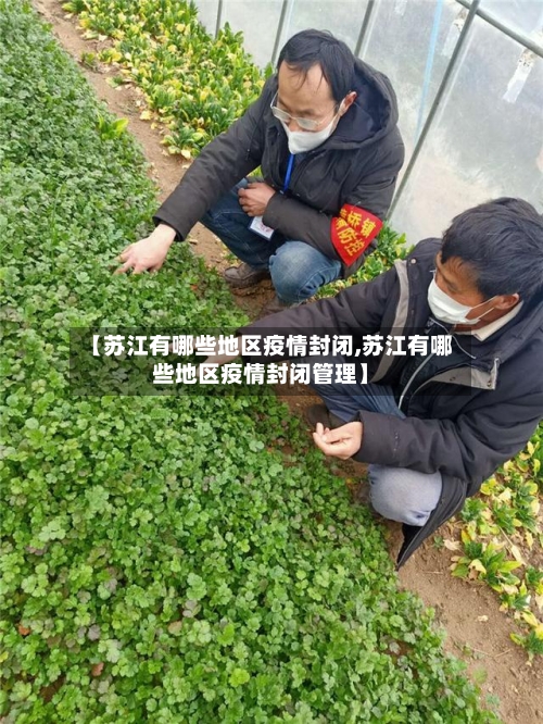 【苏江有哪些地区疫情封闭,苏江有哪些地区疫情封闭管理】-第3张图片