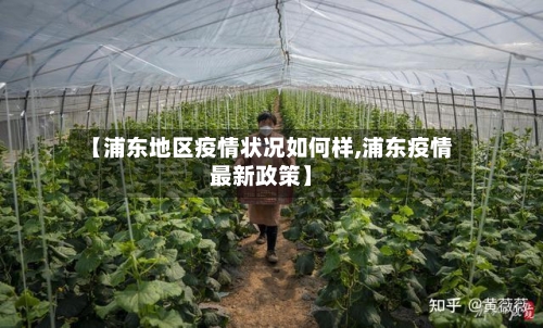 【浦东地区疫情状况如何样,浦东疫情最新政策】-第2张图片