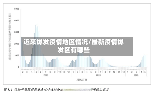 近来爆发疫情地区情况/最新疫情爆发区有哪些-第3张图片