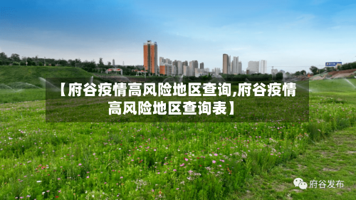 【府谷疫情高风险地区查询,府谷疫情高风险地区查询表】
