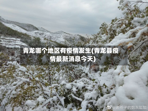 青龙哪个地区有疫情发生(青龙县疫情最新消息今天)-第2张图片