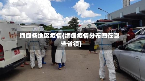 缅甸各地区疫情(缅甸疫情分布图在哪些省镇)