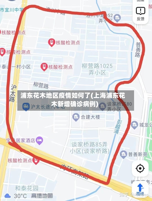 浦东花木地区疫情如何了(上海浦东花木新增确诊病例)