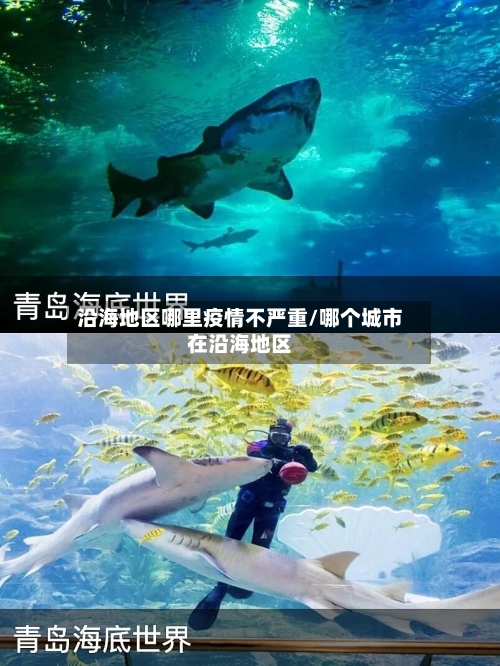 沿海地区哪里疫情不严重/哪个城市在沿海地区