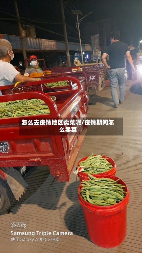 怎么去疫情地区卖菜呢/疫情期间怎么卖菜-第2张图片