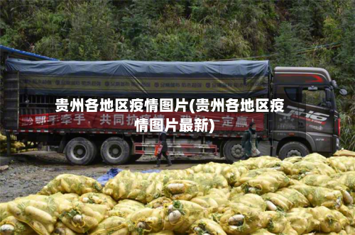 贵州各地区疫情图片(贵州各地区疫情图片最新)