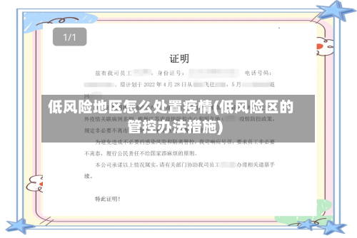 低风险地区怎么处置疫情(低风险区的管控办法措施)