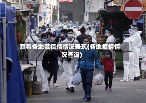 查看各地区疫情情况表现(各地疫情情况查询)