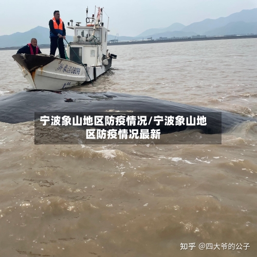 宁波象山地区防疫情况/宁波象山地区防疫情况最新-第2张图片