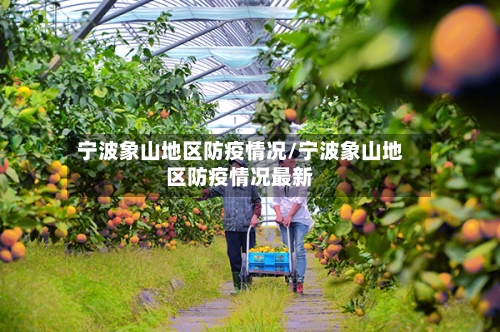 宁波象山地区防疫情况/宁波象山地区防疫情况最新