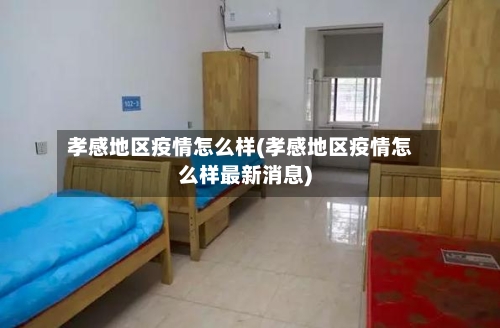 孝感地区疫情怎么样(孝感地区疫情怎么样最新消息)-第2张图片