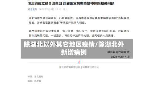 除湖北以外其它地区疫情/除湖北外新增病例