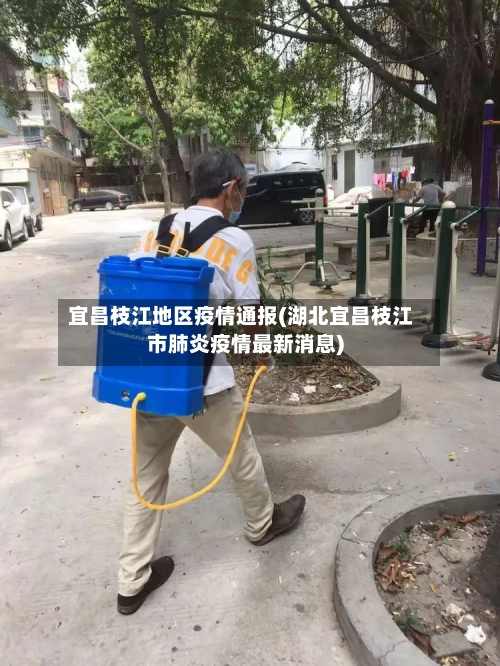 宜昌枝江地区疫情通报(湖北宜昌枝江市肺炎疫情最新消息)