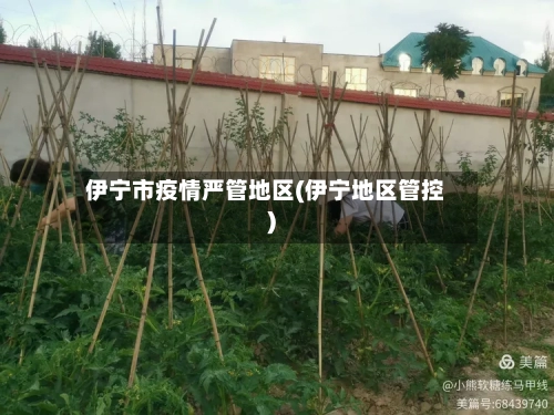 伊宁市疫情严管地区(伊宁地区管控)-第3张图片