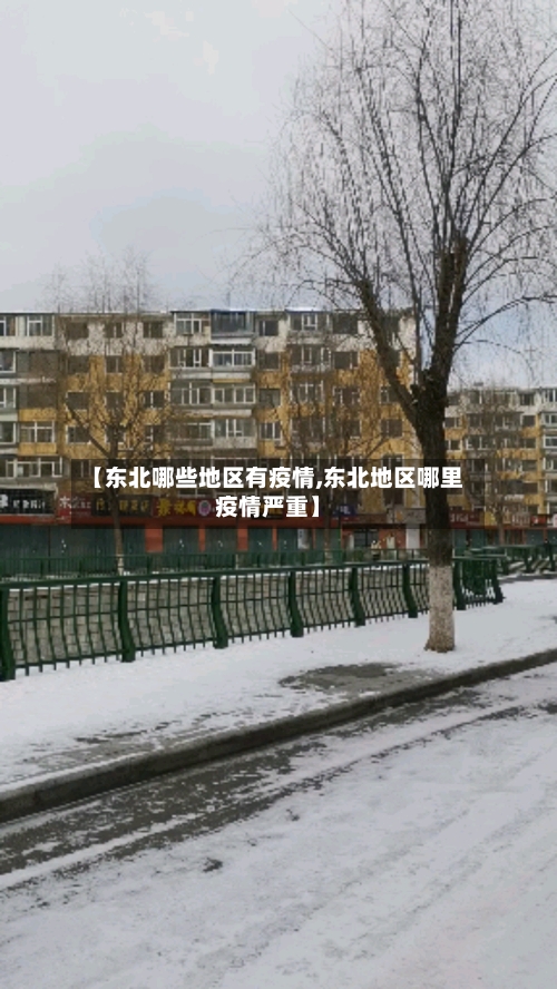【东北哪些地区有疫情,东北地区哪里疫情严重】-第3张图片