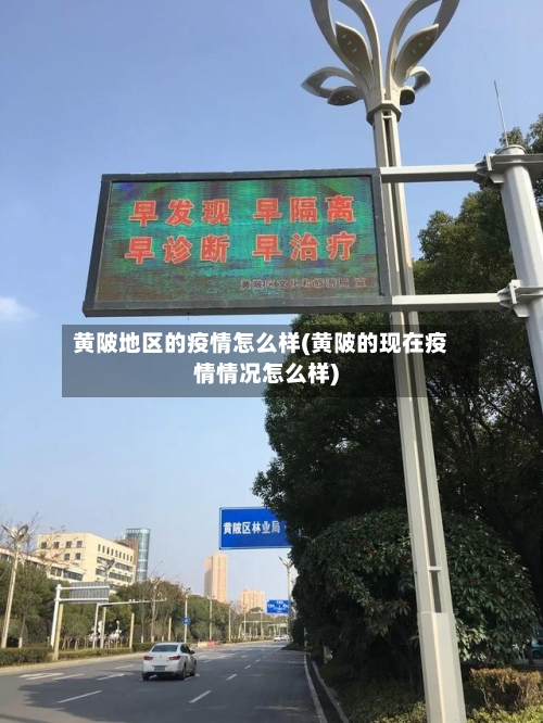 黄陂地区的疫情怎么样(黄陂的现在疫情情况怎么样)-第2张图片