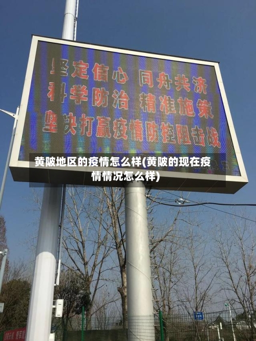 黄陂地区的疫情怎么样(黄陂的现在疫情情况怎么样)-第3张图片