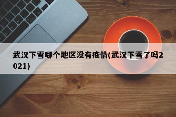 武汉下雪哪个地区没有疫情(武汉下雪了吗2021)