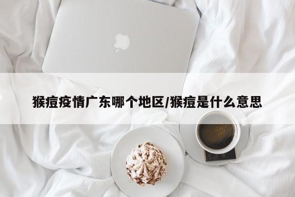 猴痘疫情广东哪个地区/猴痘是什么意思